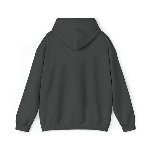 Women Hoodies Women Heavy Blend™ Hooded Sweatshirt Warms hoodies
